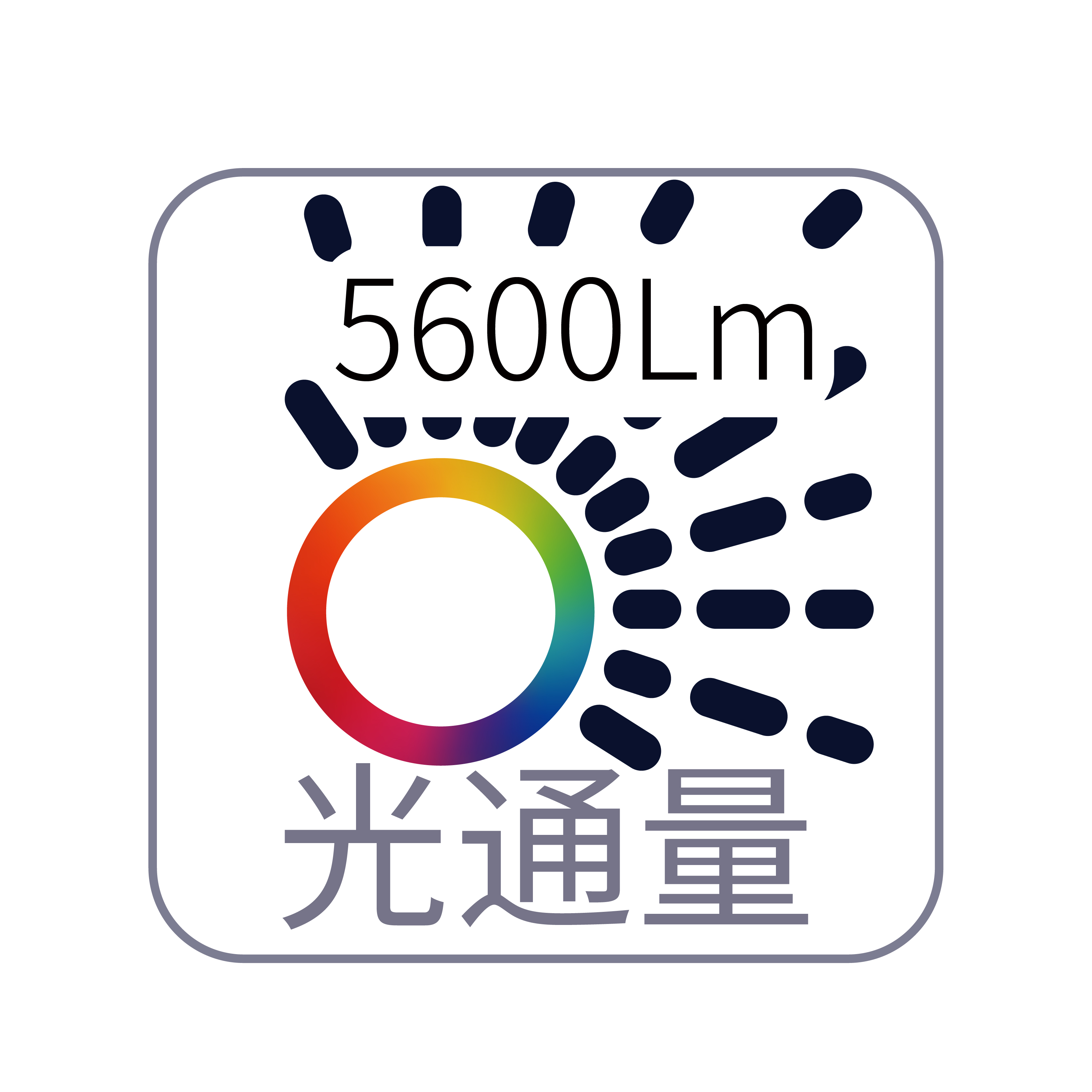 官网单图_画板 1.jpg